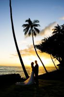 Click for Slideshow...